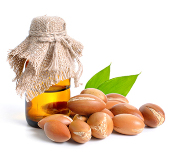 argan ency